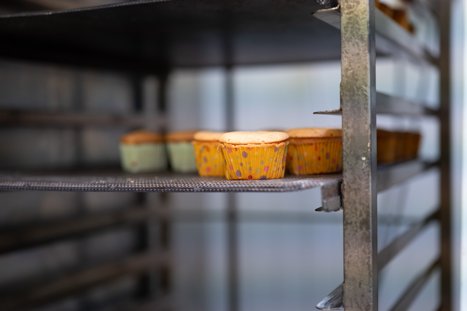 External factors of shelf life | Bakery Academy
